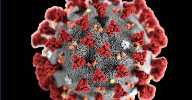 Coronavirus: il peggio deve ancora venire? Non ci restano che Zaia e Zangrillo